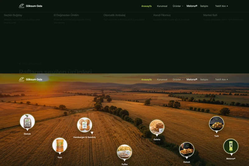 goksumgida web sitesi - Zegga Online referansı